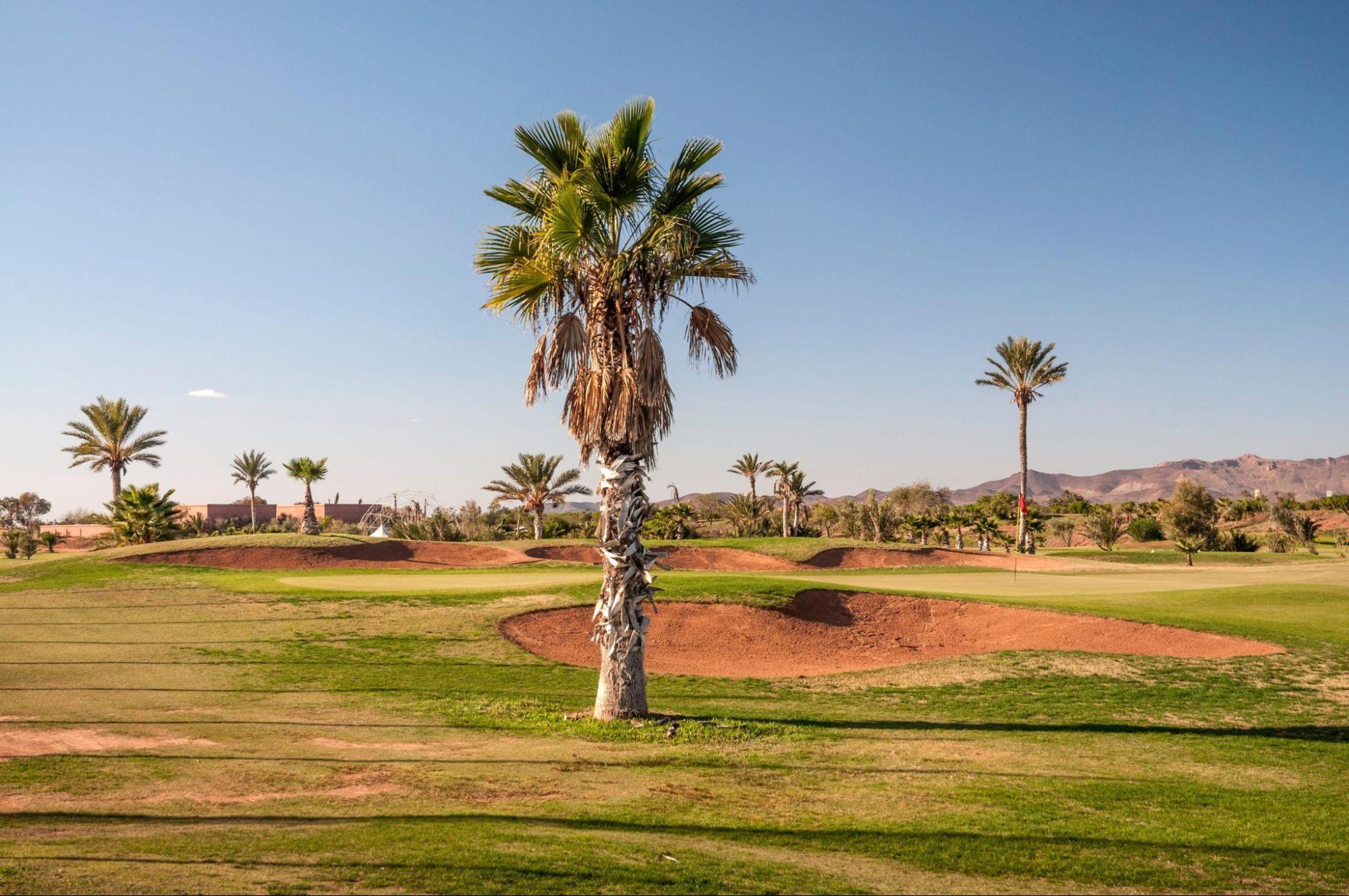 Marrakech Palmeraie: Your Stay Amidst Oasis, Luxury, and Unforgettable Adventures 2 marrakech palmeraie your stay amidst oasis luxury and unforgettable adventures