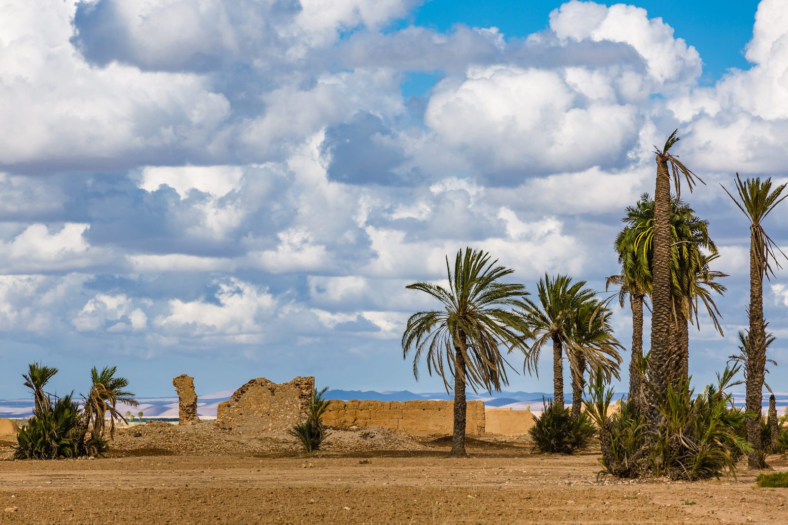 Landscape around Marrakech with the snow-capped peaks of the High Atlas in the background