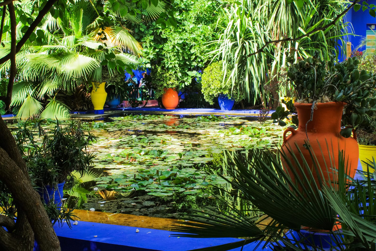 Blue villa, cacti and pool of the Majorelle garden in Marrakech