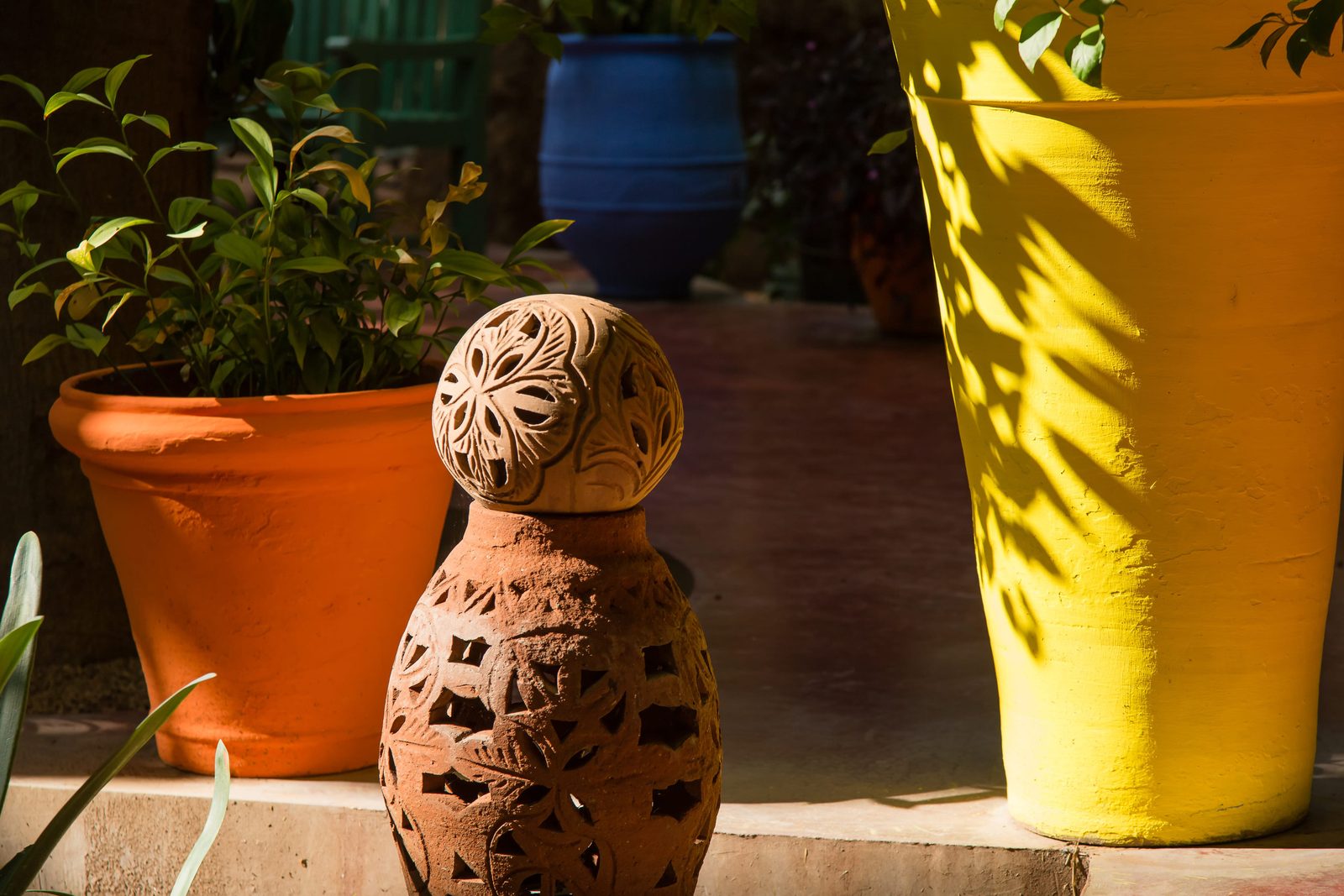Narrow pathway lined with cacti, bamboo and palm trees at the Jardin Majorelle