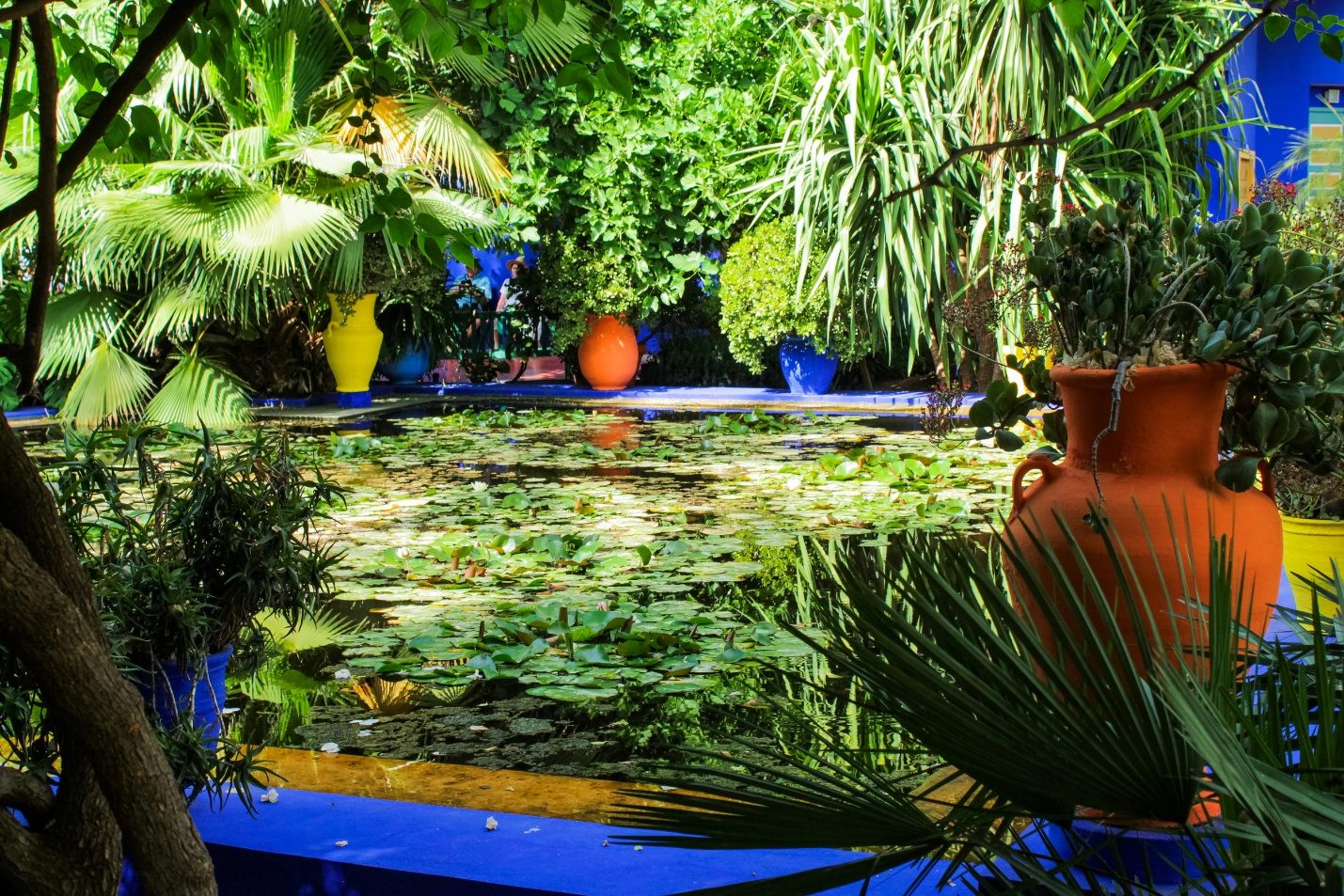 Vivid blue and lush vegetation of the Majorelle Garden in Marrakech