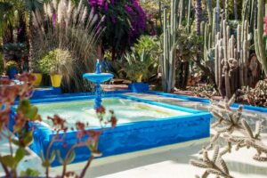 Pathway in the Jardin Majorelle in Marrakech, next to the Musée Yves Saint Laurent